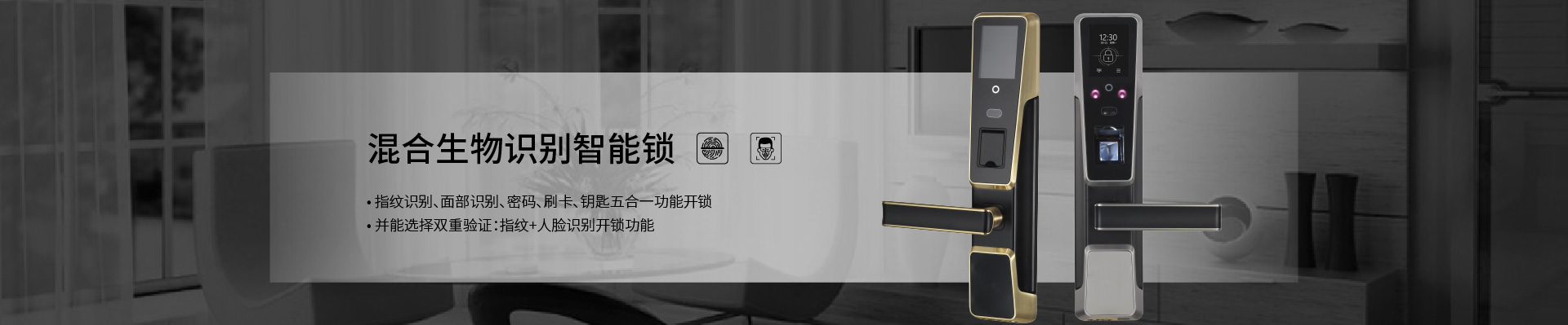 访客机